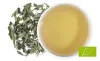 Pure Tea Organic Peppermint Tea